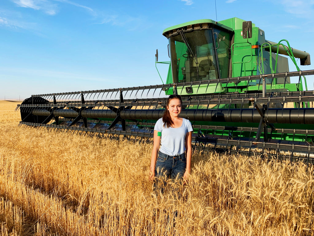 kate stephens montana net worth 1 kate stephens montana net worth